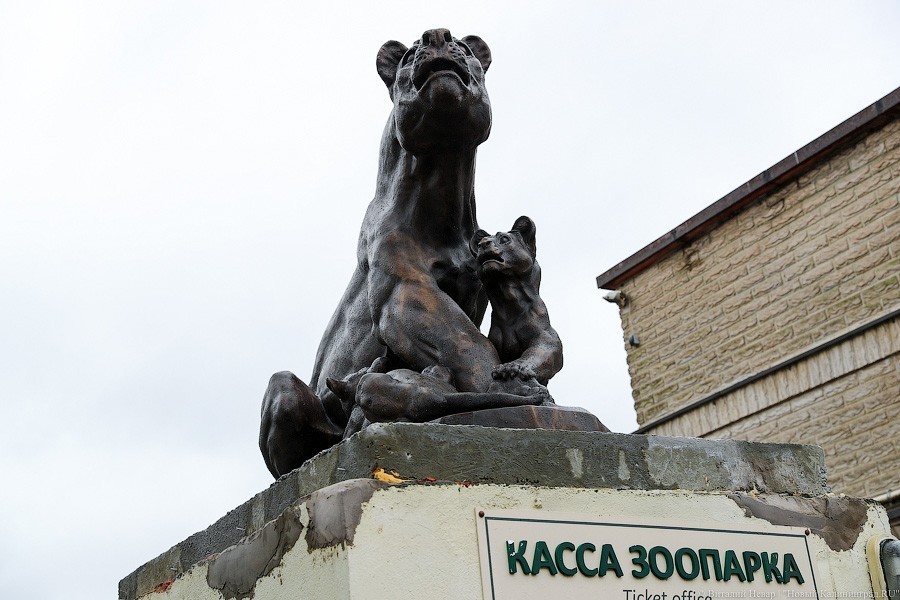 Звери из бронзы: на входе в Калининградский зоопарк установили новые скульптуры (фото)