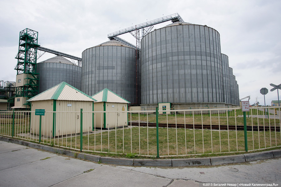 «Содружество» хочет построить зерновой терминал в Усть-Луге