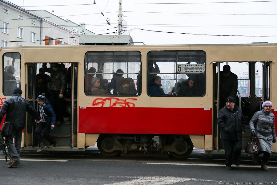 Жертвы транспортной войны: как калининградцы на работу добирались (фото)