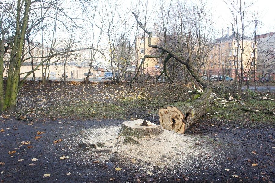 Бульдозеры начали благоустройство в сквере за Собором Христа Спасителя (+фото)