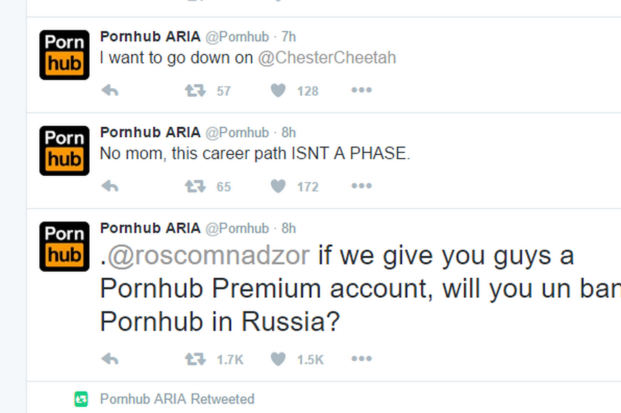 PornHub предложил Роскомнадзору премиальный доступ