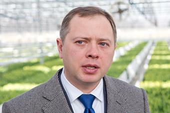 Минус полста: в день в Калининградской области отстреливают 50 кабанов