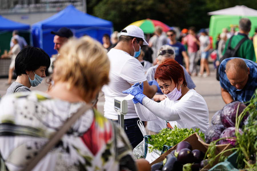 Базар-вокзал: как проходит сельхозярмарка на площади Победы в Калининграде