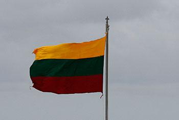 В Вильнюсе прошел пикет против размещения у границ Литвы «Искандеров»