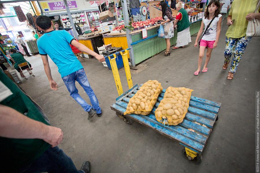 «Паники никакой нет»: что происходит с ценами на овощи и фрукты на рынке Калининграда