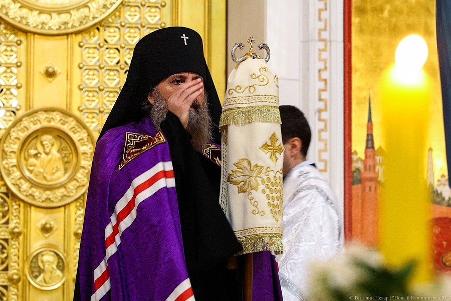 Смиренные взгляды: в соборе Христа Спасителя Калининграда встретили Рождество (фото)