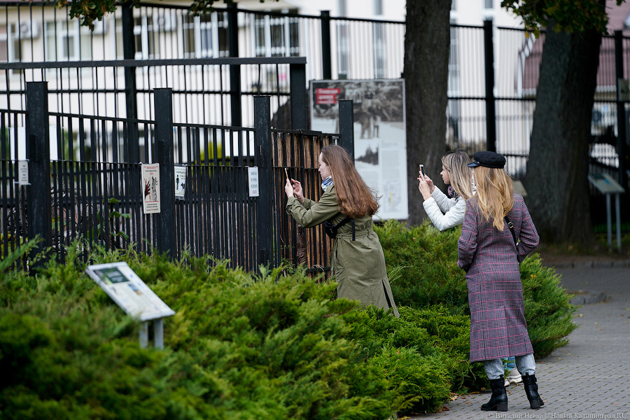 Вот компания какая: Калининградский зоопарк открыл все павильоны для посетителей