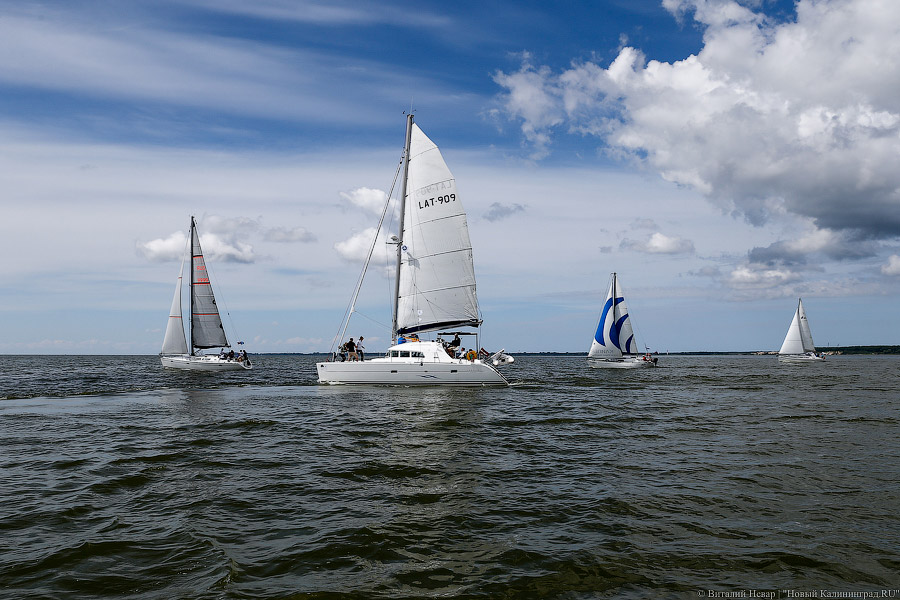 «Паруса духа»: как в Калининградском заливе инвалиды в регате побеждали