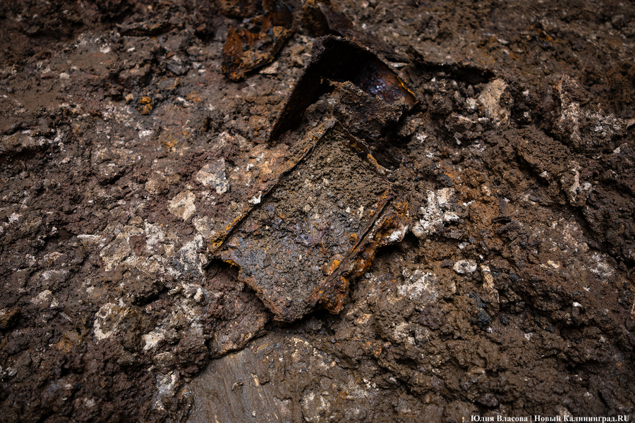 Настоящие подземелья Кёнигсберга: что находится в открывшемся провале на острове Канта (фото)