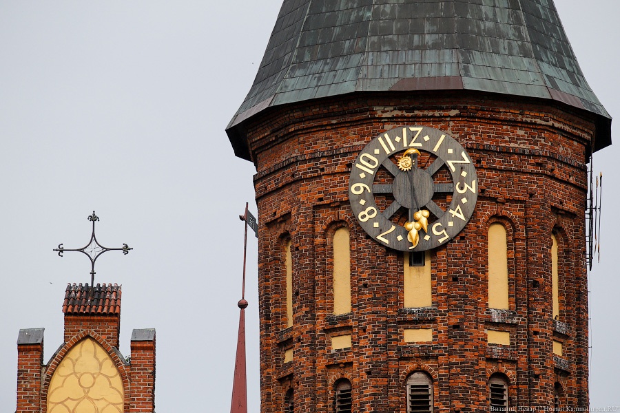 Фото — Виталий Невар, «Новый Калининград.Ru»