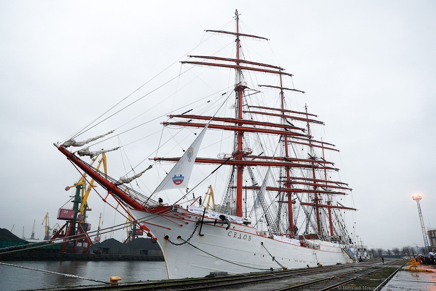 Ураган в паруса: «Крузенштерн» и «Седов» проводили в кругосветное плавание (фото)