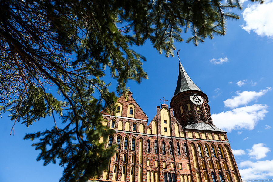 Виталий Невар / Новый Калининград 