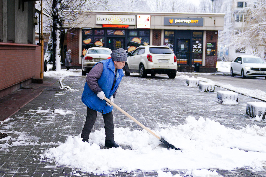 Директор «Чистоты» назвал зарплату калининградских дворников