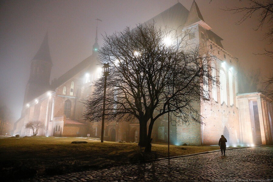 Фото — Виталий Невар, «Новый Калининград»