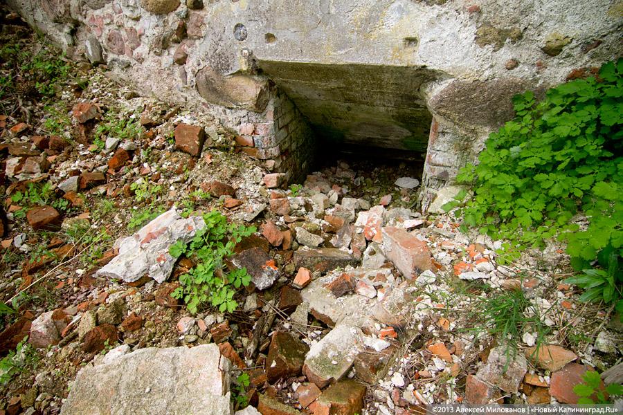 «А денег нет»: в переданной РПЦ кирхе 14-го века в Храброво валяются человеческие кости