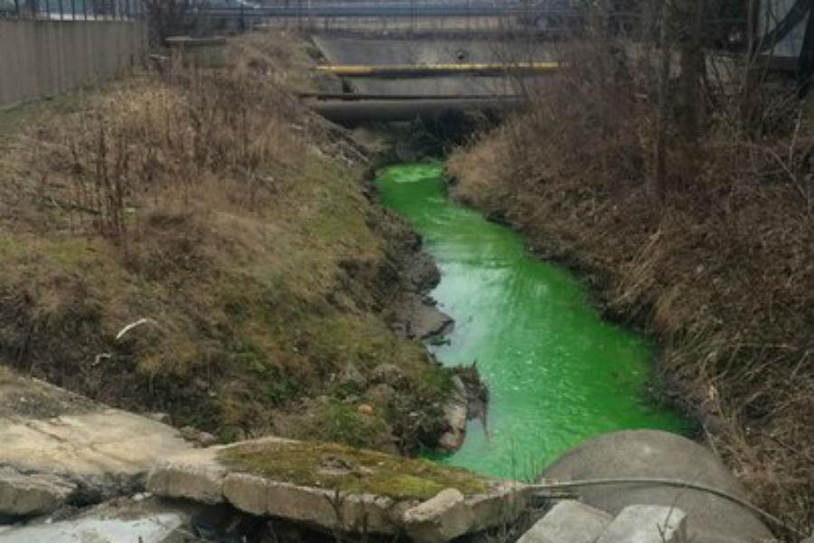 Калининградцев встревожил ручей «кислотного» цвета в водоохранной зоне (фото)