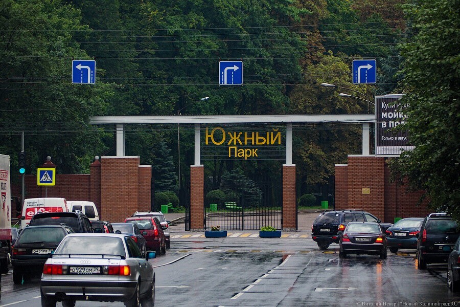 Дирекция парков: слой ила в озерах Южного парка вырастает на 5-8 см в год