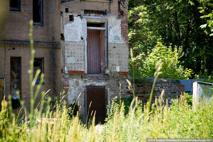 Почти Япония: вилла на Чапаева в проекте «Пустые дома»