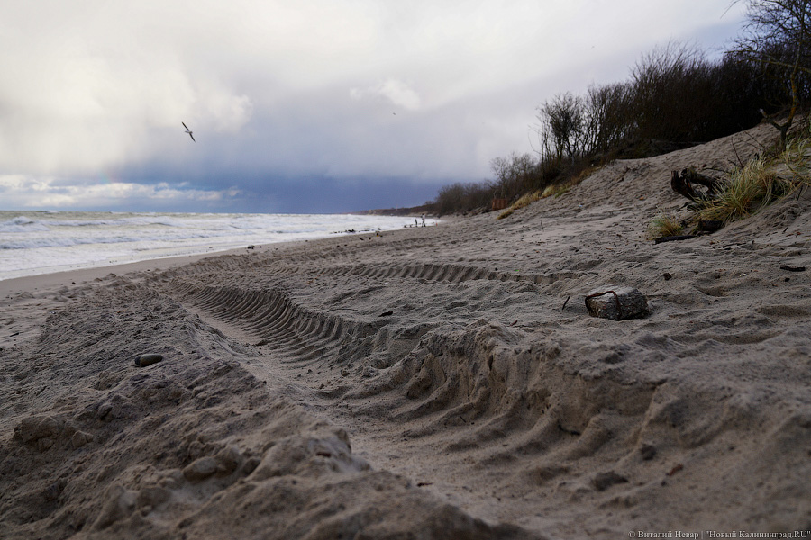 Игра в «Монополь»: как уничтожают авандюну при строительстве кафе в Зеленоградске (фото)