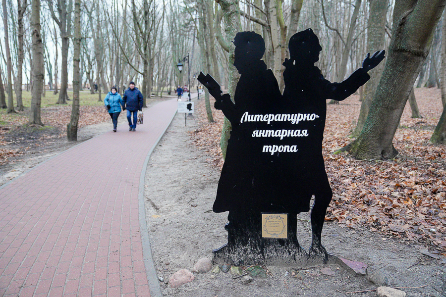 «Основная задача — это выборы»: что предложил Янтарному Артур Крупин