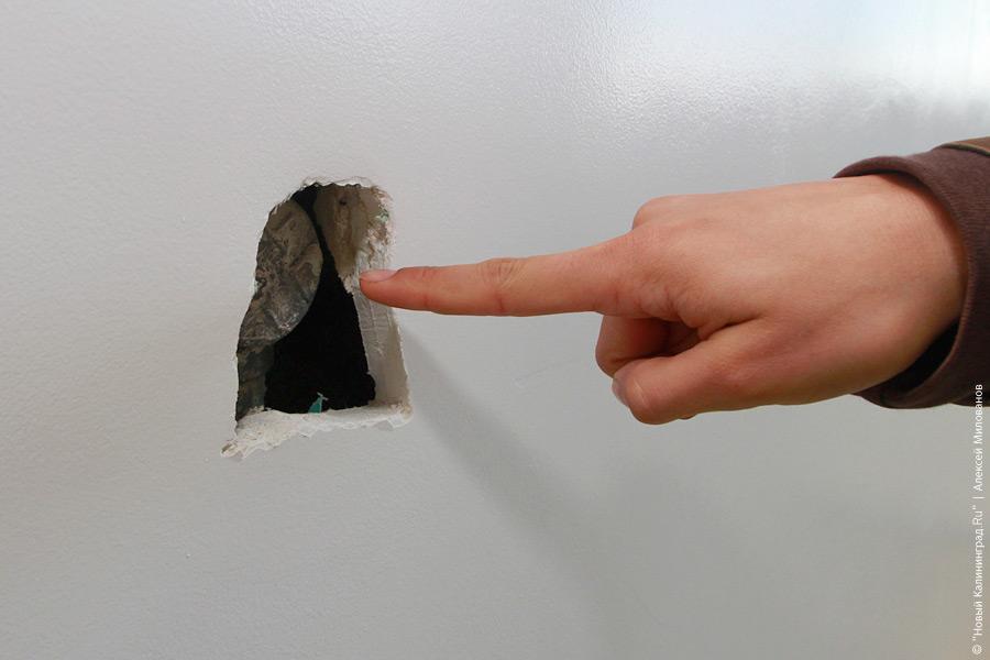 "Новые стандарты и старые методы": репортаж "Нового Калининграда.Ru"