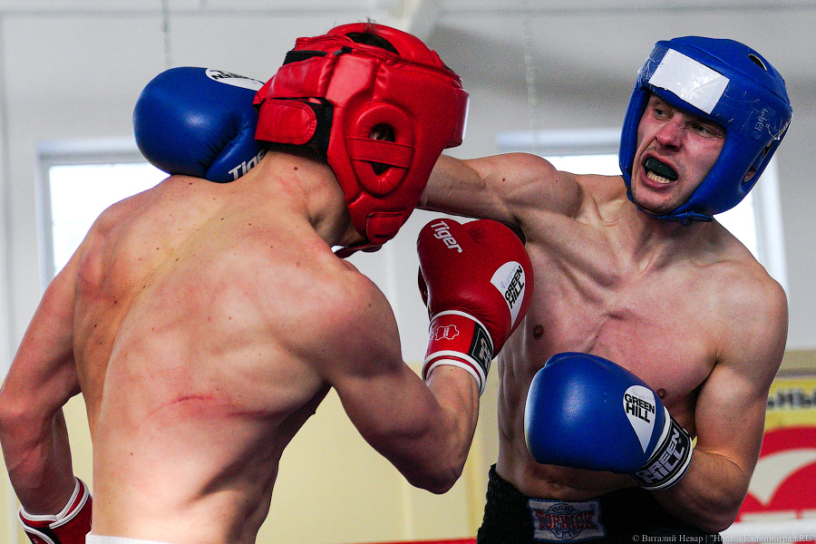 «Ударный» день: в Калининграде прошел чемпионат области по кикбоксингу