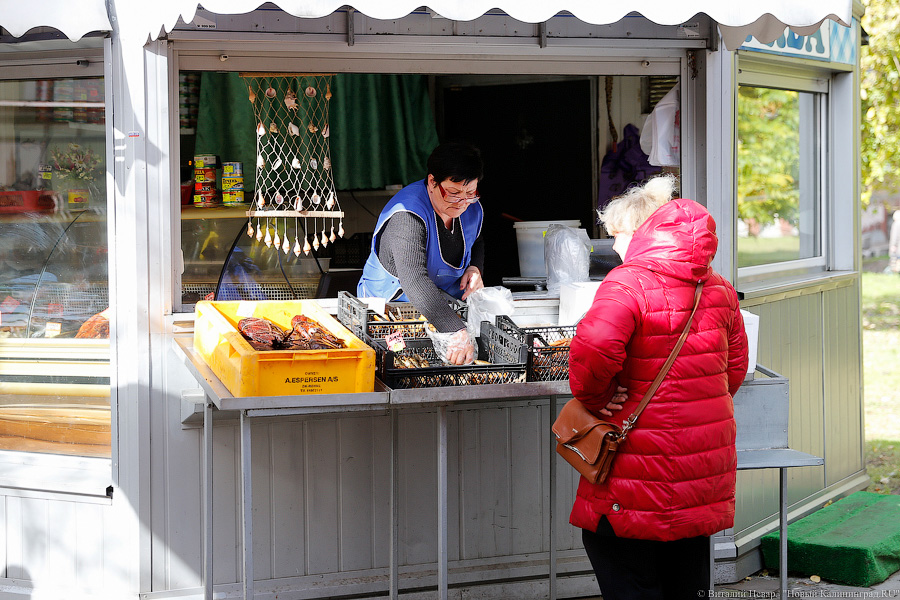 «Куда потом, воровать?»: Калининград на пороге новой палаточной войны