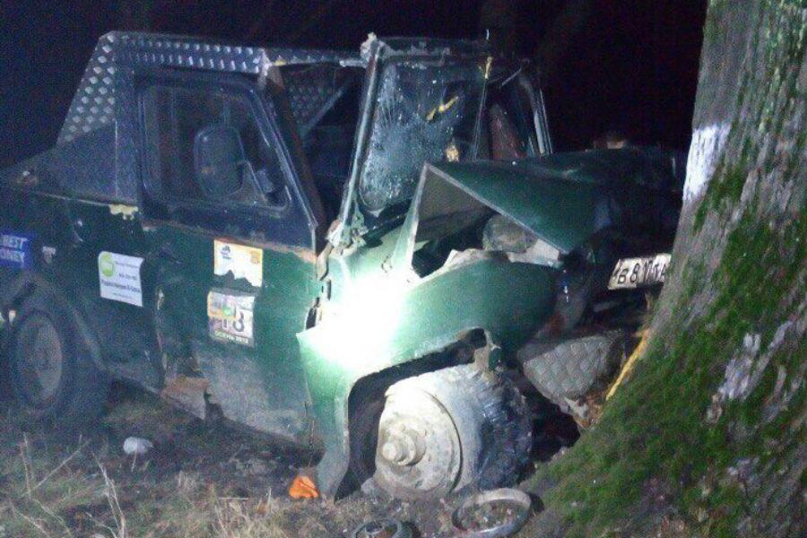 Под Янтарным авто влетело в дерево из-за взорвавшегося колеса, четверо пострадали