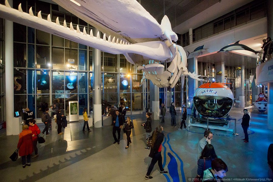 Фото — Алексей Милованов, «Новый Калининград.Ru»