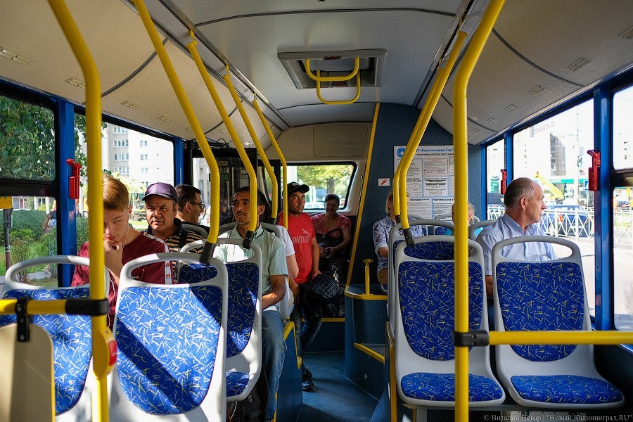 Автобус с розеткой: как в Калининграде испытывают новый вид транспорта