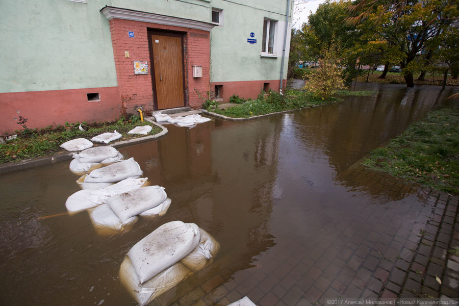 МЧС предупреждает о повышении уровня воды в Преголе в 2,5 раза по шкале высот