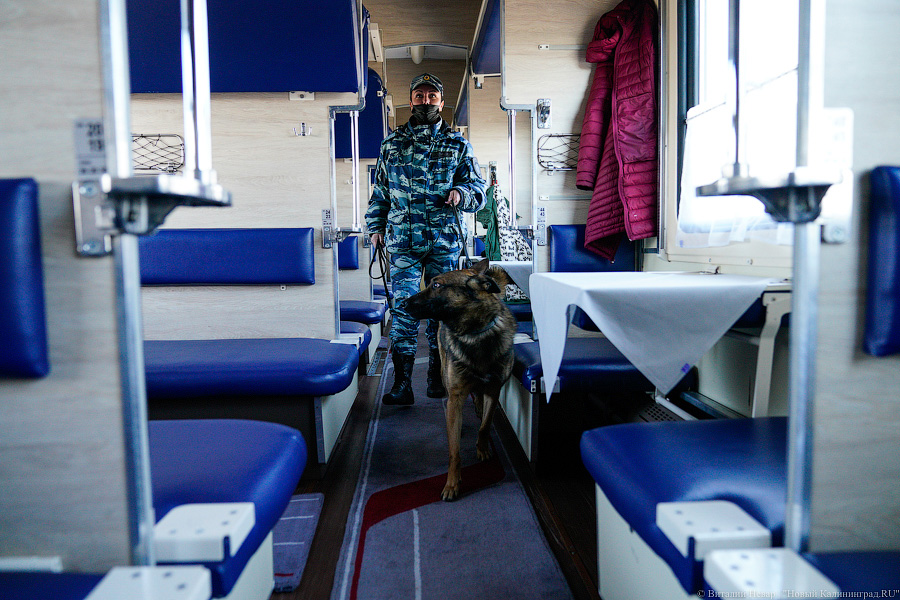 Паровозик, который смог: в Калининграде запускают ретропоезд для туристов (фото)