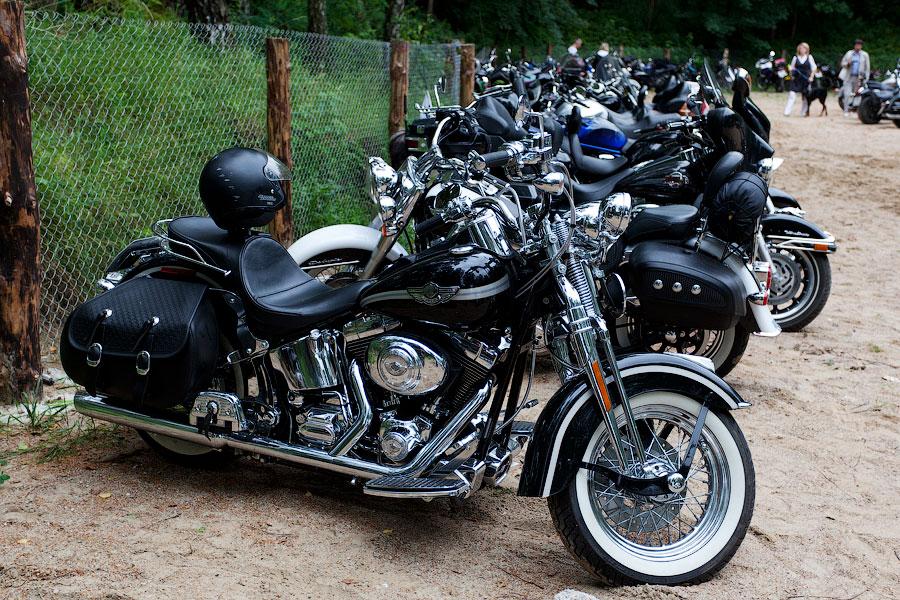 "Стальное братство": фоторепортаж "Афиши Нового Калининграда.Ru"