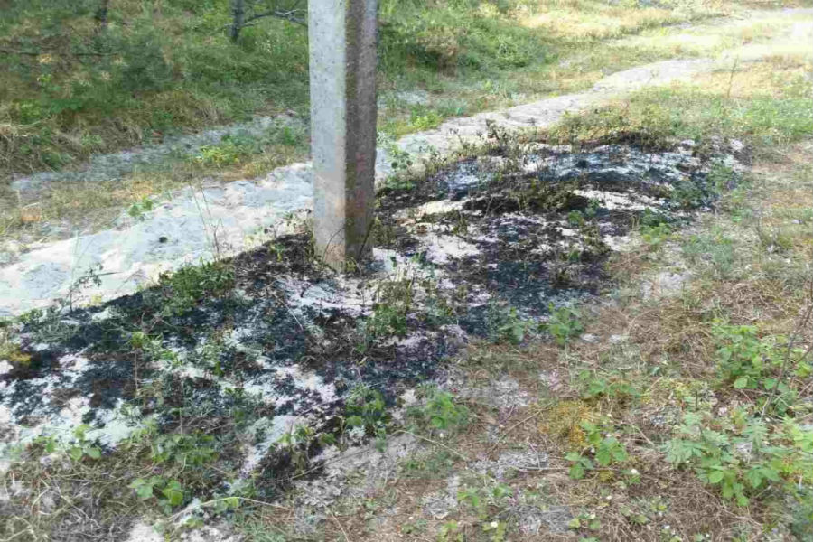 Китайский фонарик стал причиной пожара на Куршской косе (фото)