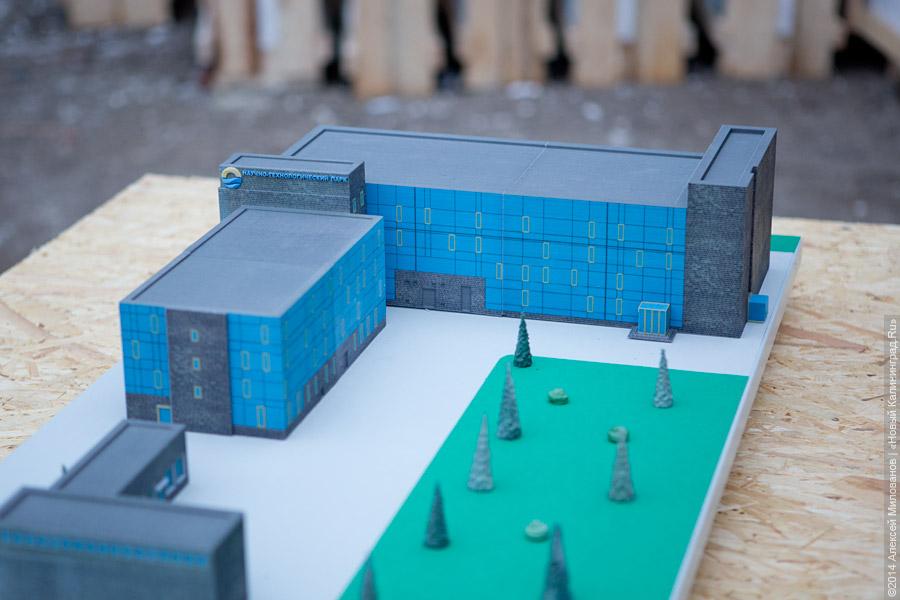 Именем Канта: как губернатор сходил в университет