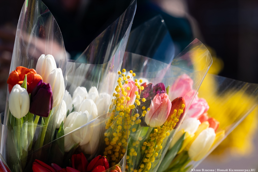 Цветочные баррикады: как выглядят улицы Калининграда 8 марта (фото)