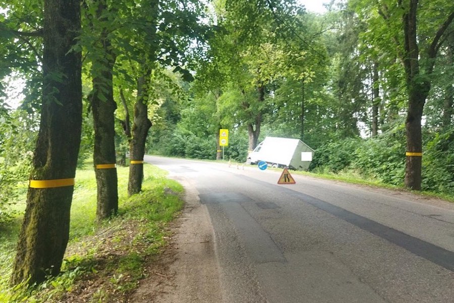 Под Гусевом грузовик врезался в дерево (фото)