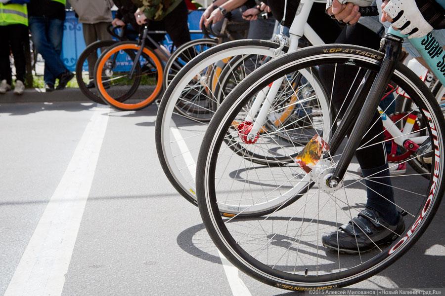 Фото — Алексей Милованов, «Новый Калининград.Ru»