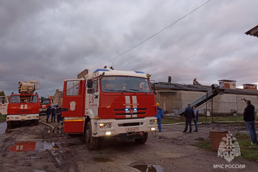 На территории «Балтптицепрома» произошел пожар, погибла часть цыплят