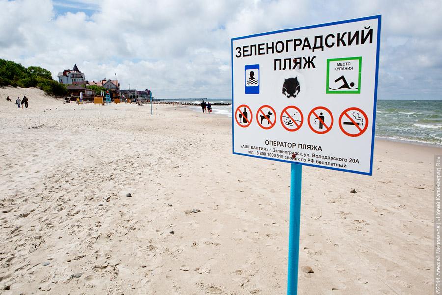 Машина «по потребности»: польский агрегат начал чистить песок на пляже Зеленоградска