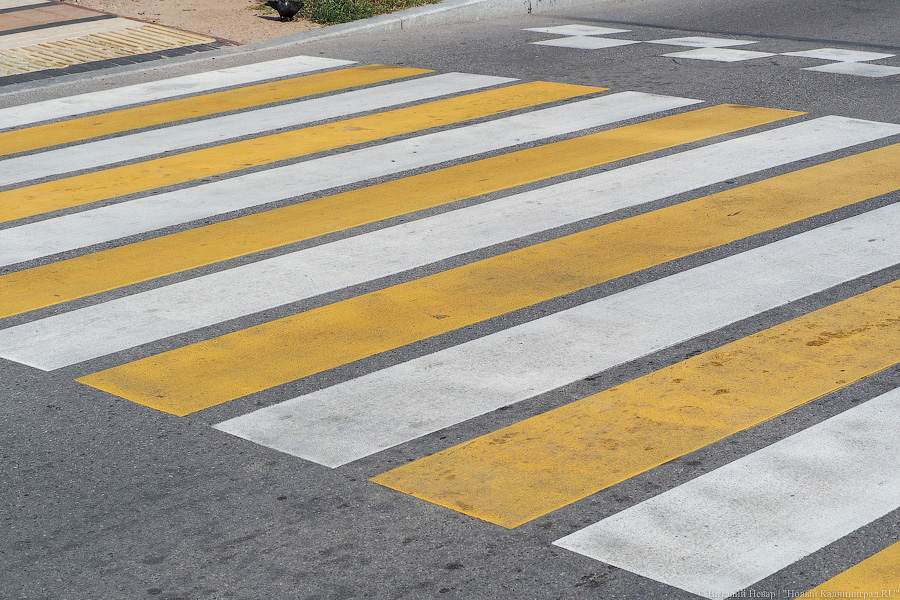 В Калининграде попал под статью 71-летний водитель, сбивший на переходе мужчину