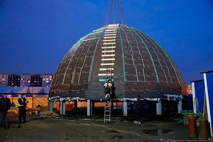 Алиханов не планирует строить в Калининграде цирк, Росгосцирк — тоже