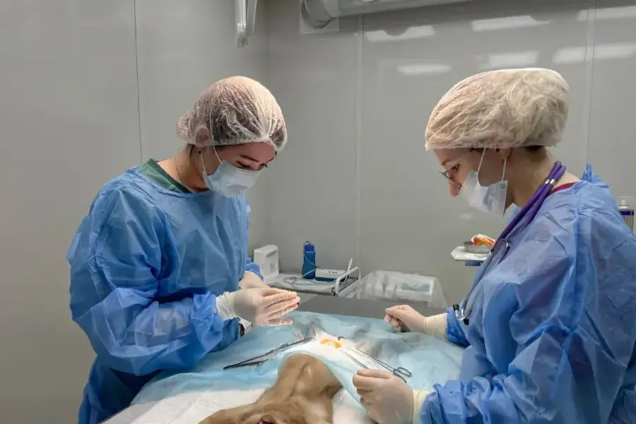 ГБУВ КО «Областная СББЖ»