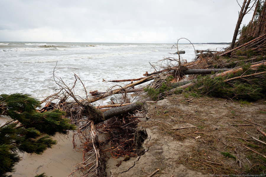 Кто здесь царь: последствия штормов на побережье (фото)
