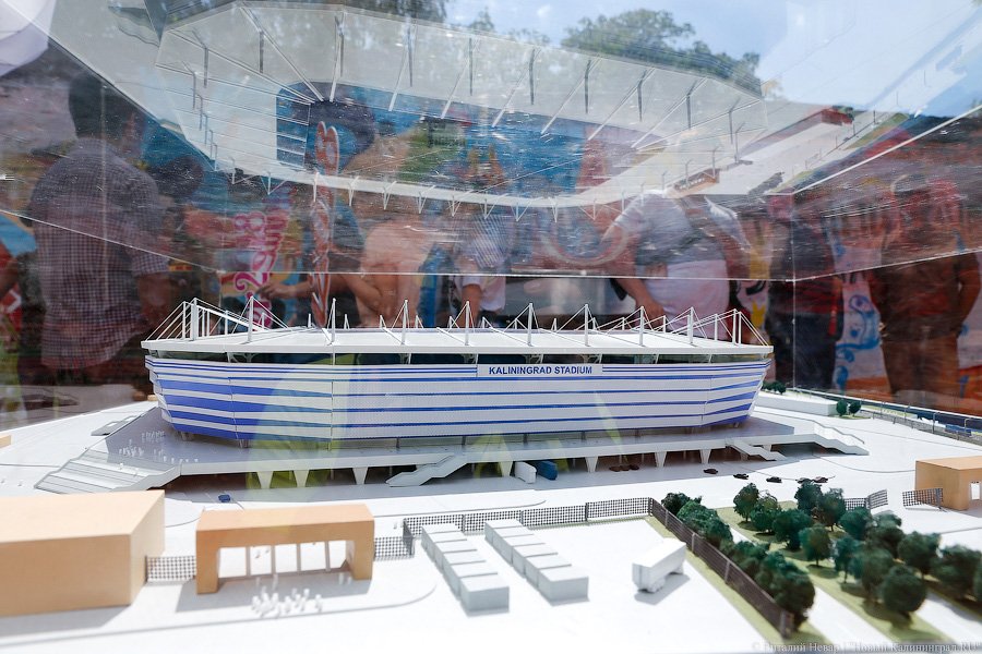 Под шоу барабанщиц: в Калининграде стартовал набор волонтеров для ЧМ-2018