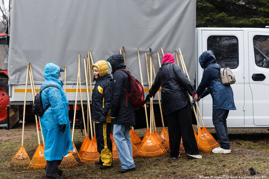 «Коммунальный Новый год»: как в Калининграде прошёл общегородской субботник