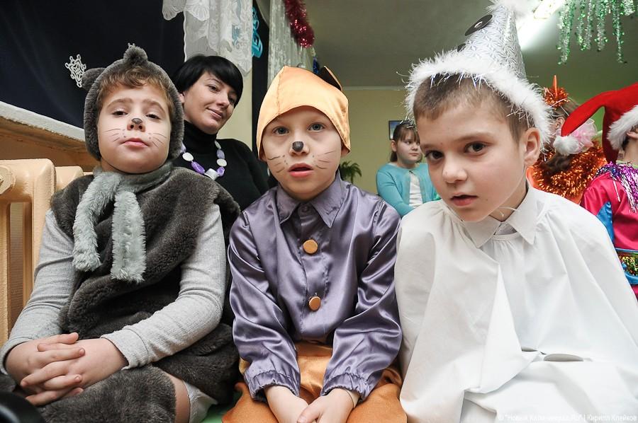 "Елка чудес": фоторепортаж "Нового Калининграда.Ru"