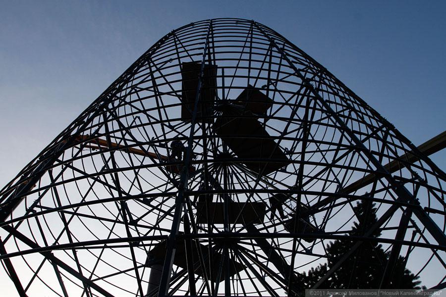 "Много на ёлочке шариков цветных": фоторепортаж "Нового Калининграда.Ru"