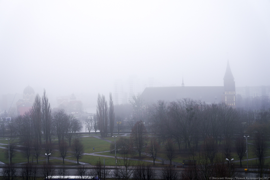 Метеорологи предупреждают автомобилистов о сильном тумане в Калининградской области