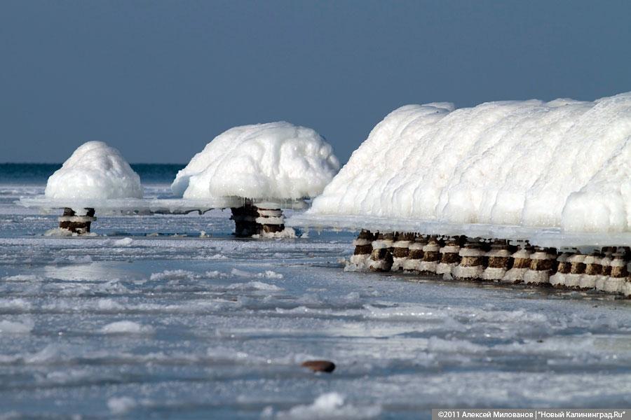"Аки посуху": фоторепортаж "Нового Калининграда.Ru"